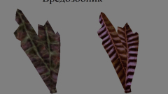 Скриншот