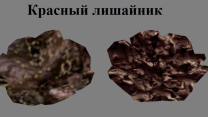 Обновленный Морровинд. Ингредиенты. Версия 2.0