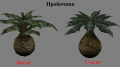 Скриншот