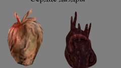 Скриншот