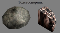 Обновленный Морровинд. Ингредиенты. Версия 2.0
