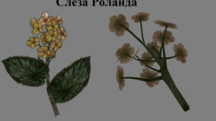 Скриншот