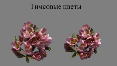 Скриншот