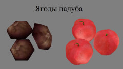 Скриншот