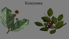 Скриншот
