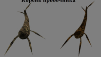 Флора Морровинда. Пробочник