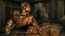 Elder Scrolls 5: Skyrim