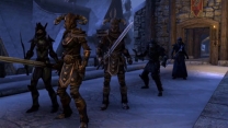 Elder Scrolls Online