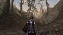 Elder Scrolls 3: Morrowind