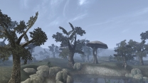 Elder Scrolls 3: Morrowind