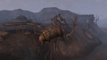 Elder Scrolls 3: Morrowind