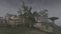 Elder Scrolls 3: Morrowind