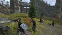 Elder Scrolls Online