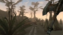 Elder Scrolls 3: Morrowind