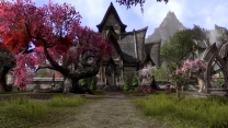 Elder Scrolls Online