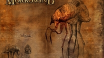 Elder Scrolls 3: Morrowind