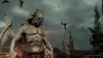 Elder Scrolls 5: Skyrim