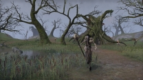 Elder Scrolls Online