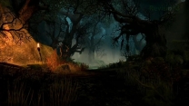 Elder Scrolls Online