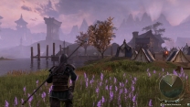 Elder Scrolls Online