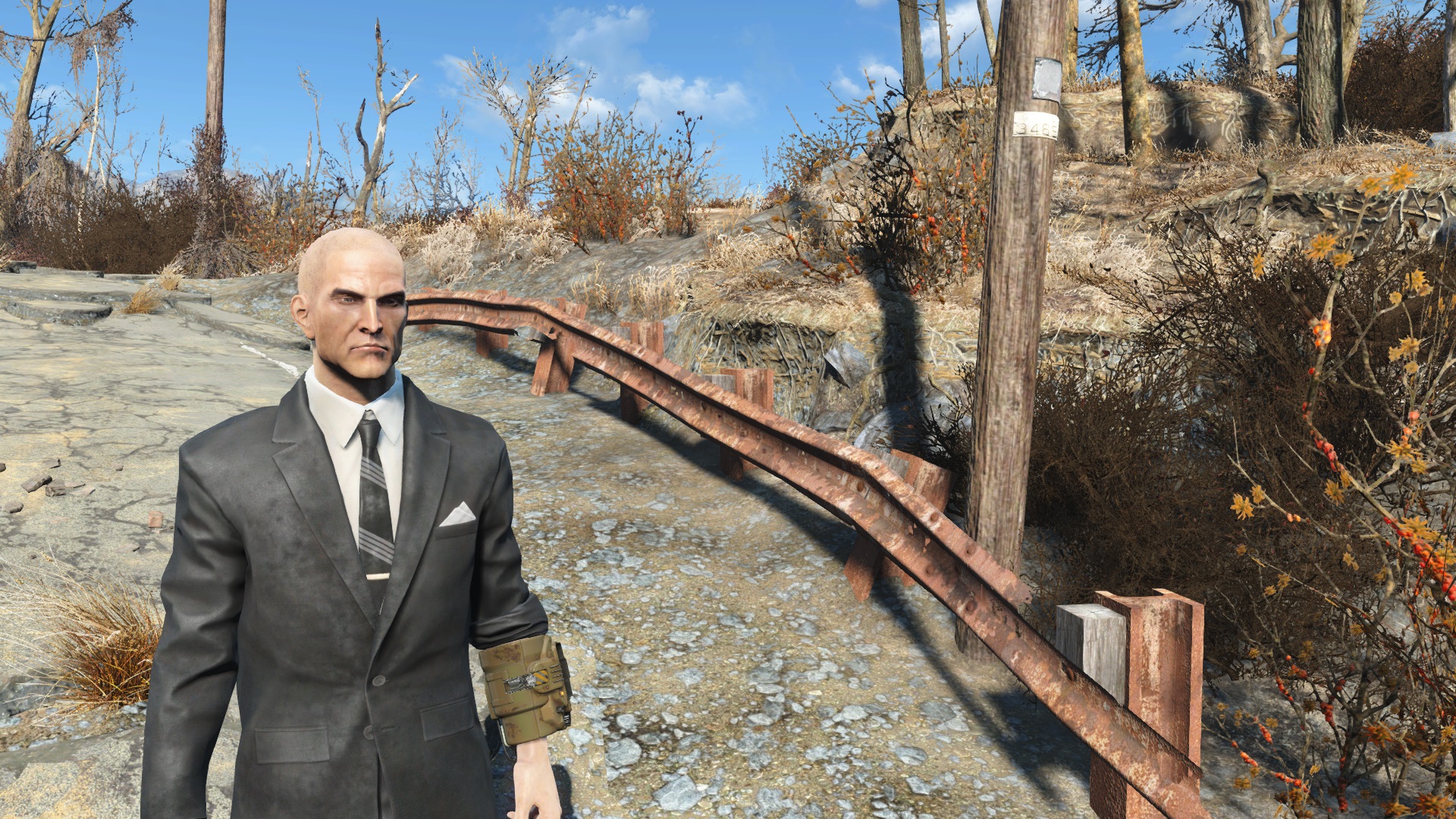 Fallout 4 редактор персонажа фото 118