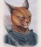 Аватар DroRidzhi