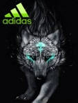 Аватар Wolck