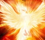 Аватар BlackFenix