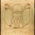 Vitruvian Guar