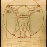 Vitruvian Guar